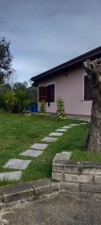 immagine annuncio 4 di 7