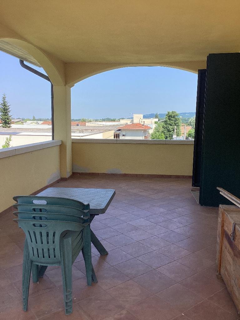 immagine annuncio 2 di 7