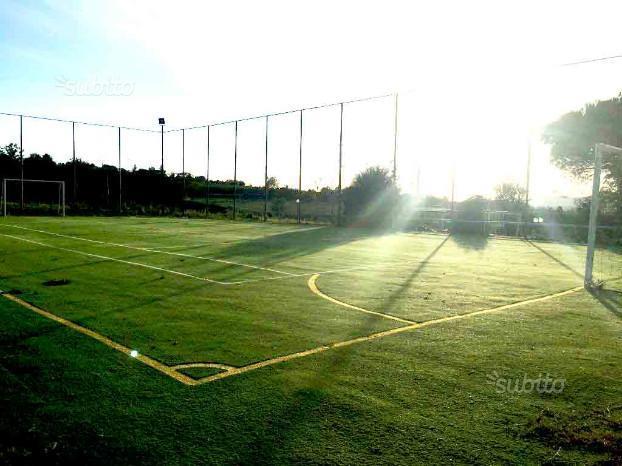 immagine annuncio 2 di 7