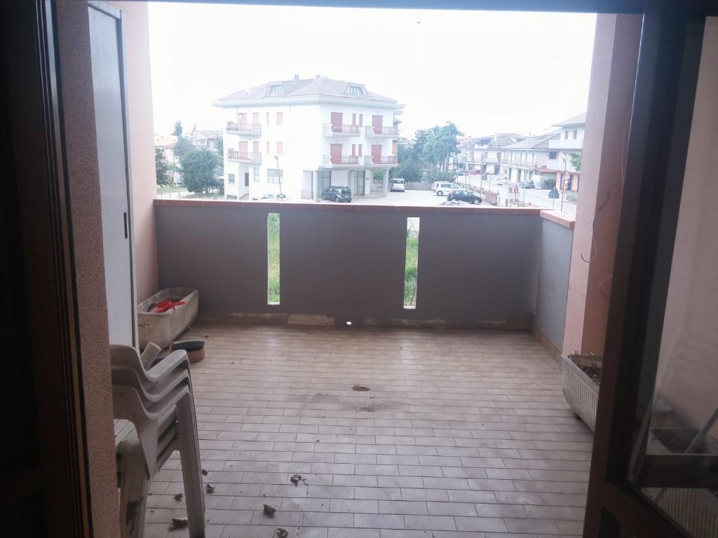 immagine annuncio 1 di 7