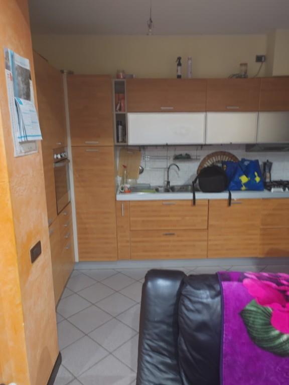 immagine annuncio 2 di 7