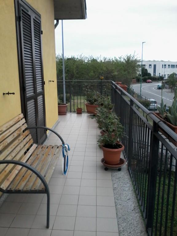 immagine annuncio 3 di 6