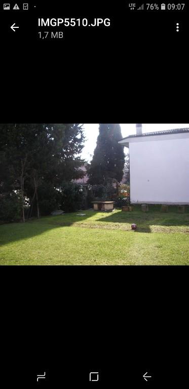 immagine annuncio 2 di 6