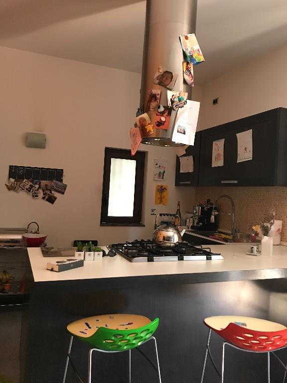 immagine annuncio 4 di 7