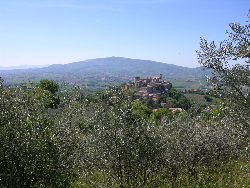 immagine annuncio 2 di 4