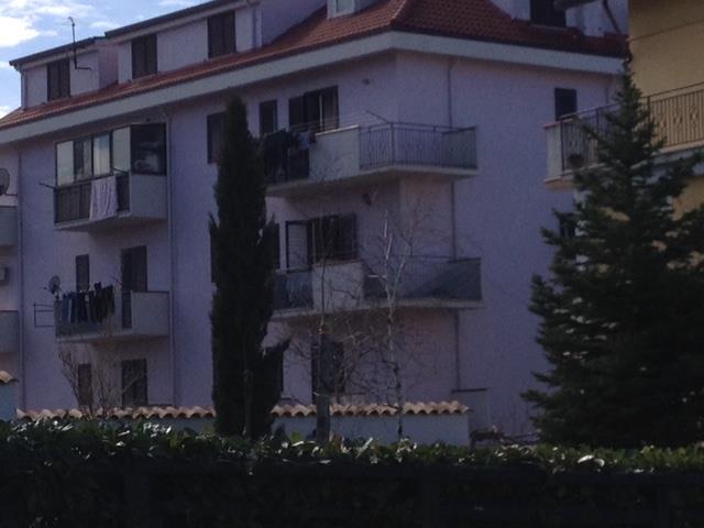 immagine annuncio 4 di 6