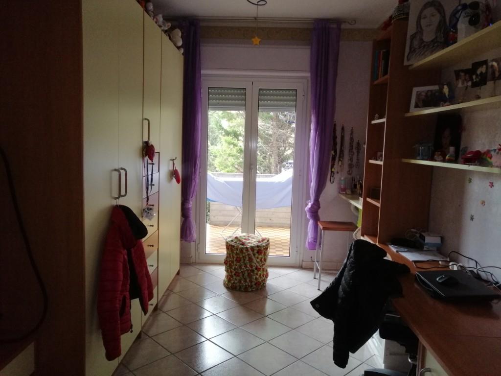 immagine annuncio 5 di 7