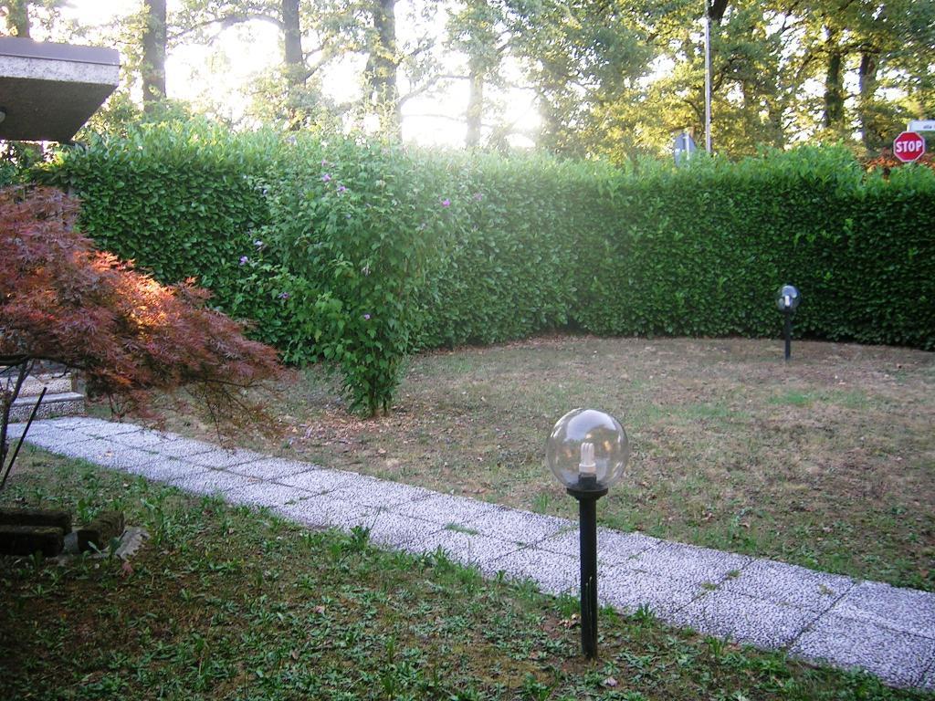 immagine annuncio 2 di 6