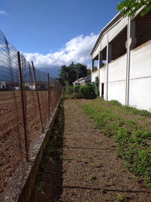 immagine annuncio 4 di 7
