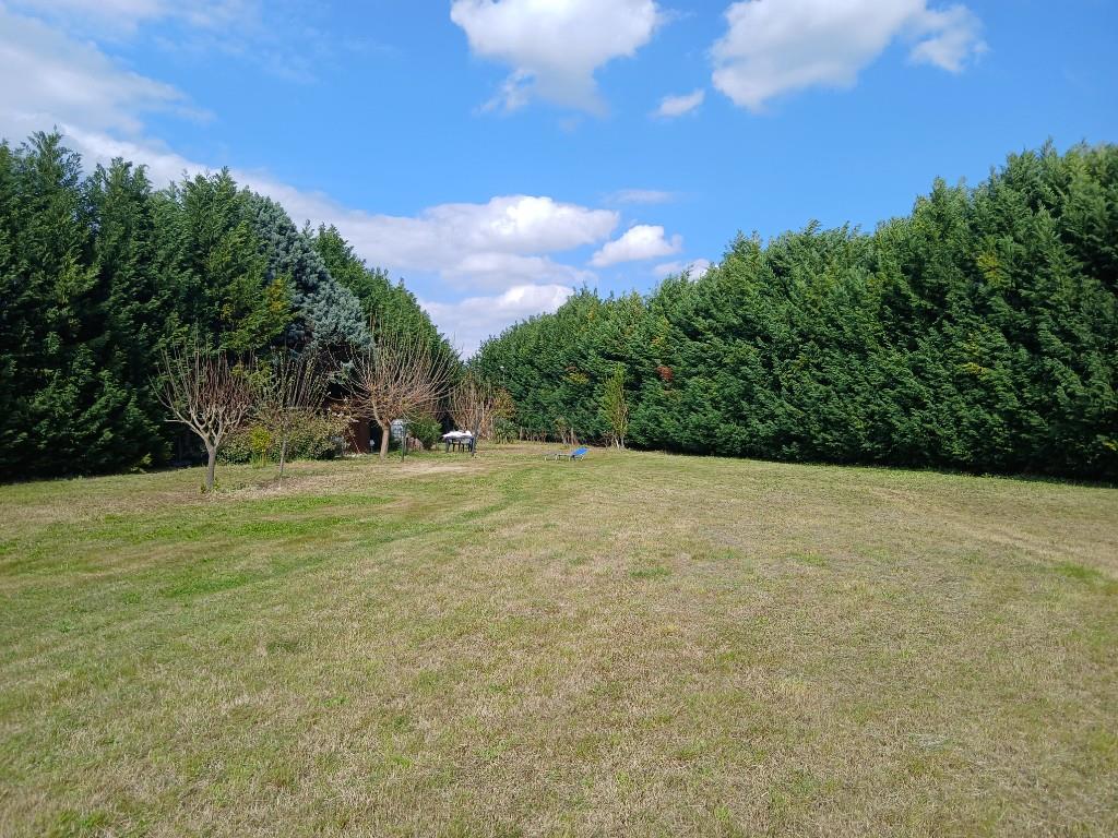 immagine annuncio 3 di 7