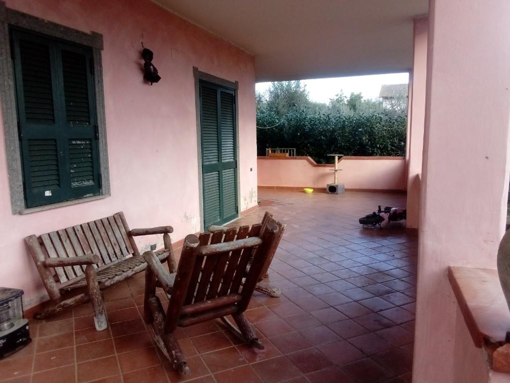 immagine annuncio 2 di 3