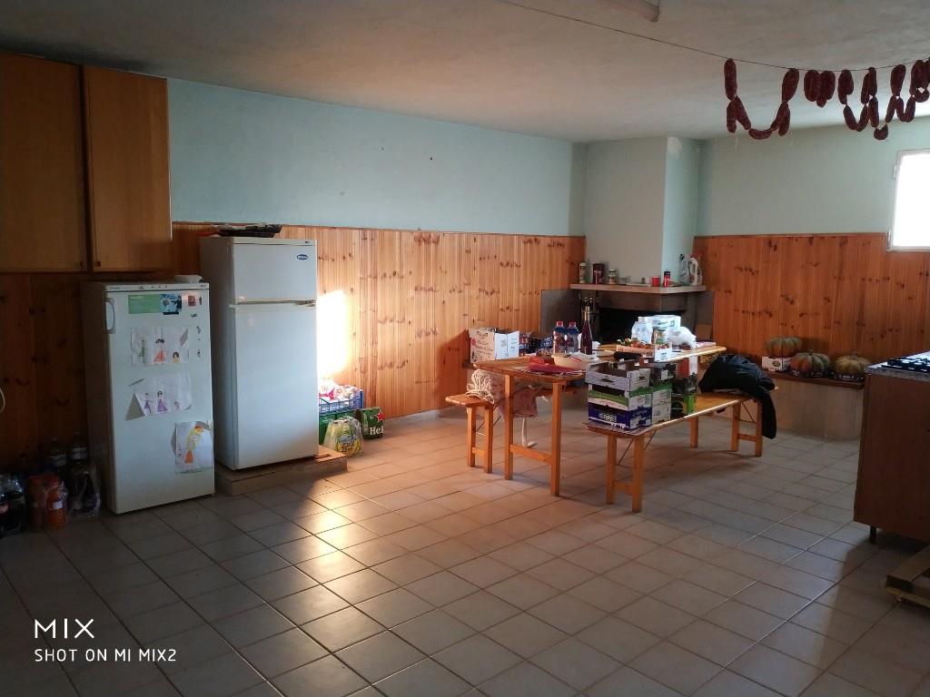 immagine annuncio 4 di 7
