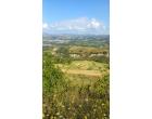 Foto - Terreno Agricolo/Coltura in Vendita a Ancarano (Teramo)