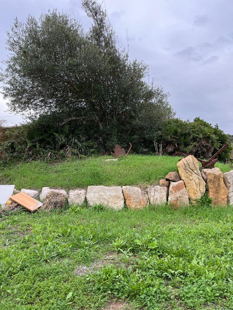 immagine annuncio 4 di 7
