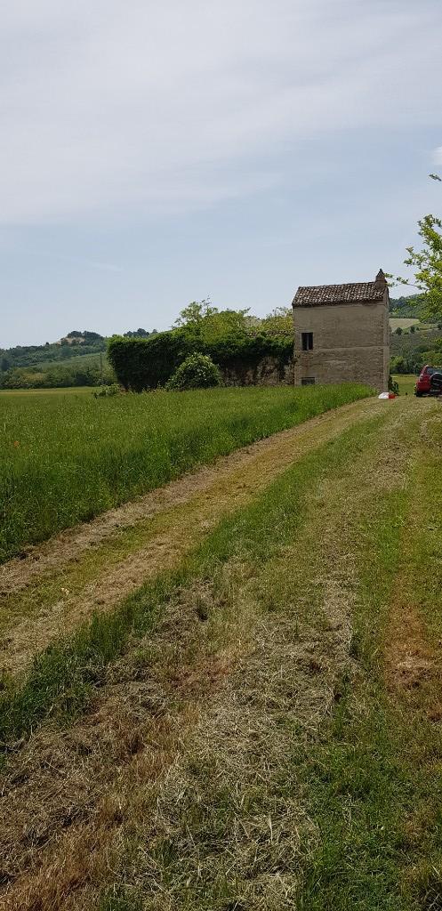 immagine annuncio 5 di 6