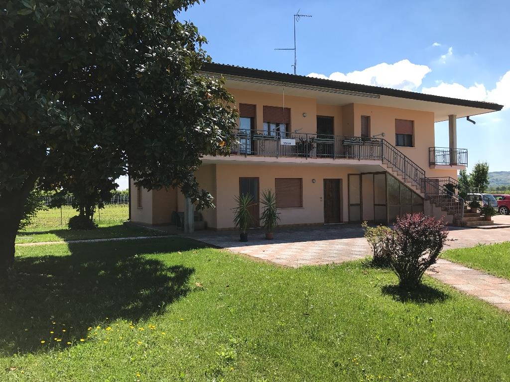 immagine annuncio 2 di 4
