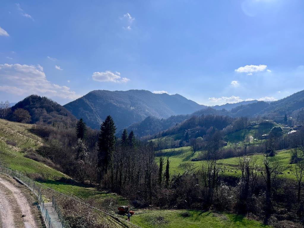 immagine annuncio 2 di 7