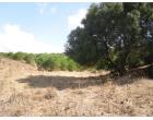 Foto - Terreno Agricolo/Coltura in Vendita a Teulada (Cagliari)