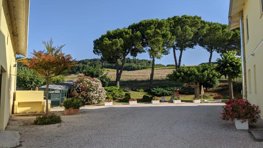 immagine annuncio 6 di 7