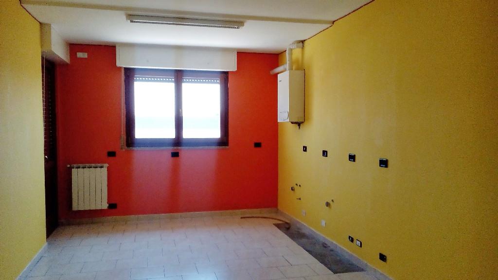 immagine annuncio 4 di 6