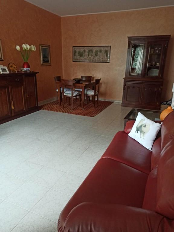 immagine annuncio 3 di 7