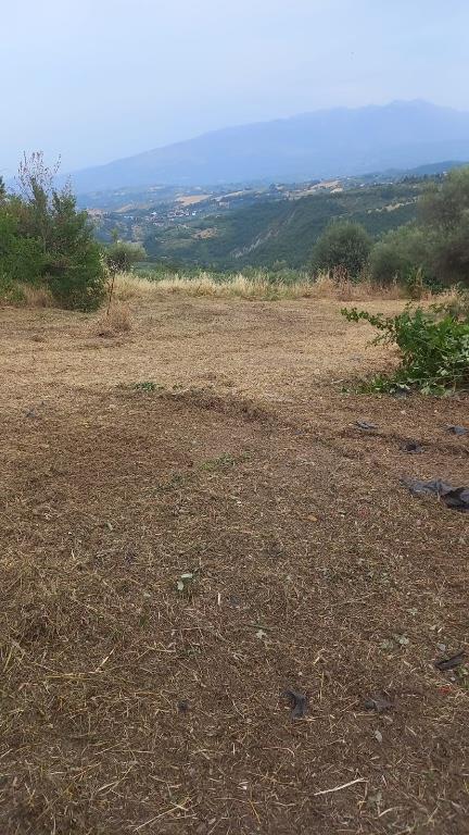 immagine annuncio 5 di 7