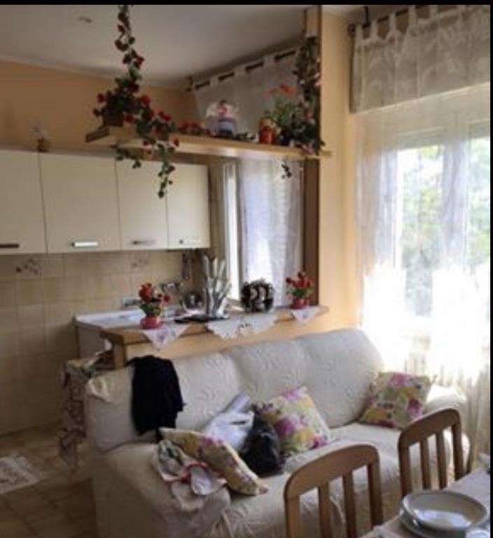 immagine annuncio 1 di 7