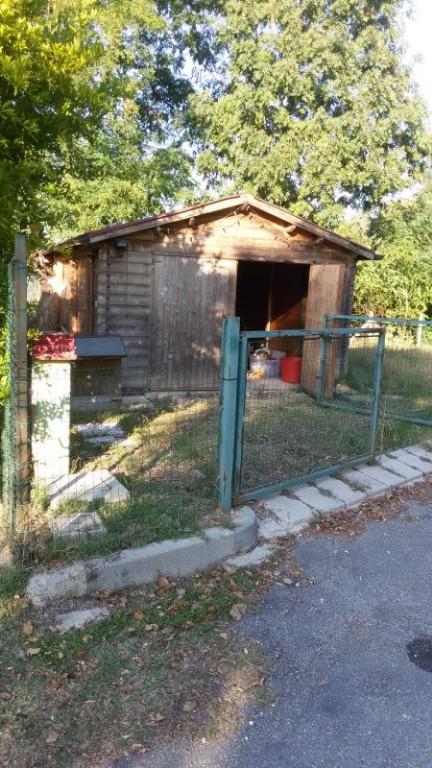 immagine annuncio 5 di 7