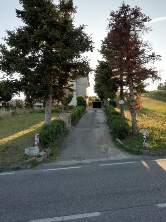 immagine annuncio 6 di 7