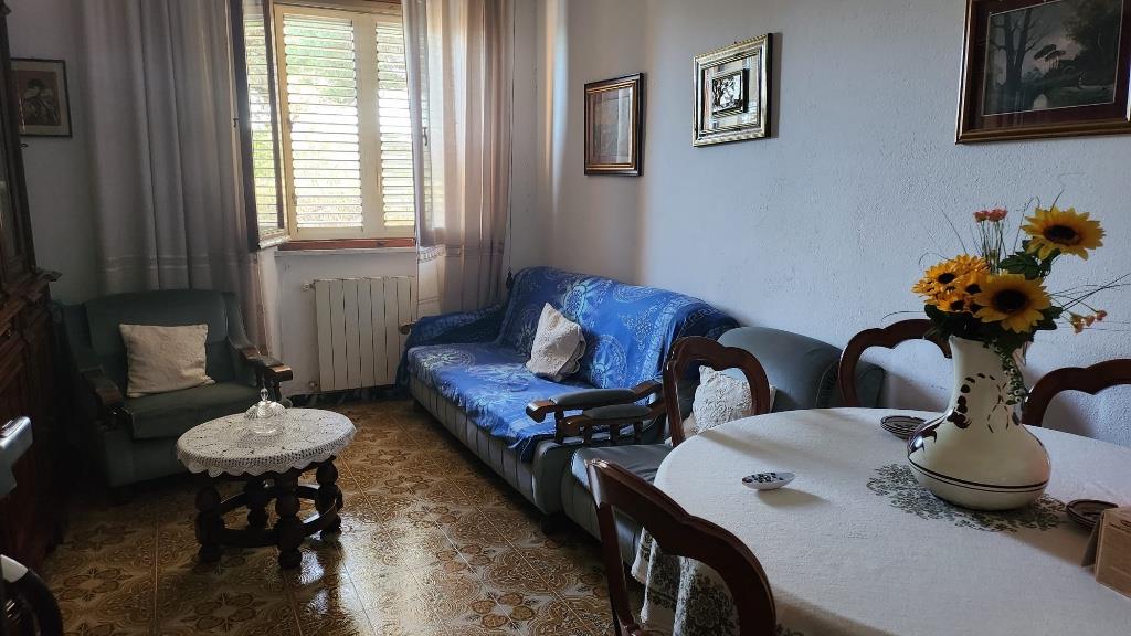immagine annuncio 3 di 6