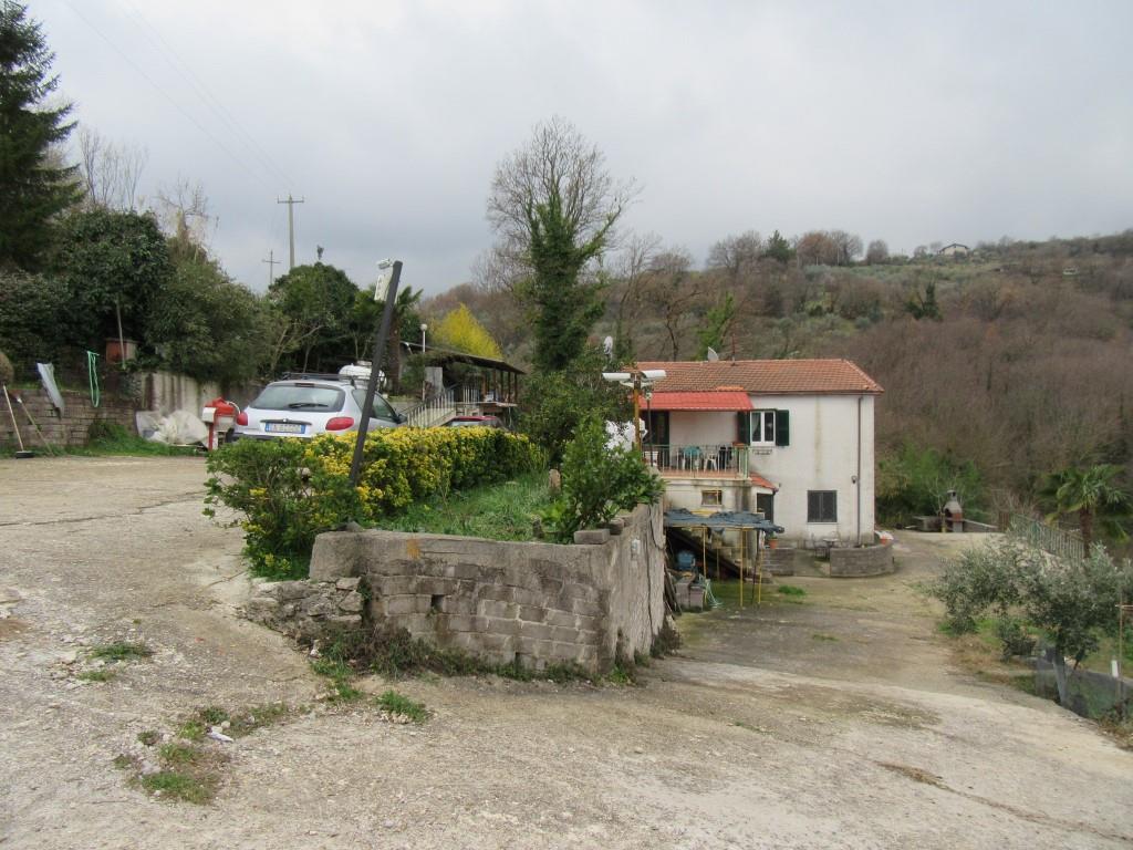immagine annuncio 2 di 7