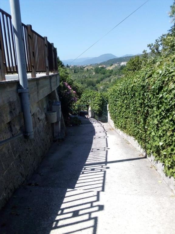 immagine annuncio 1 di 7