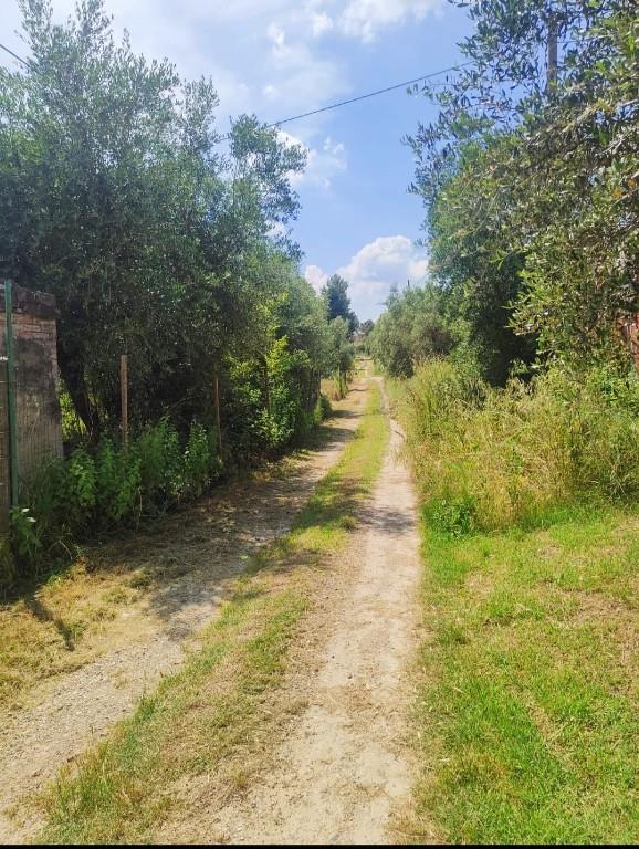 immagine annuncio 6 di 7