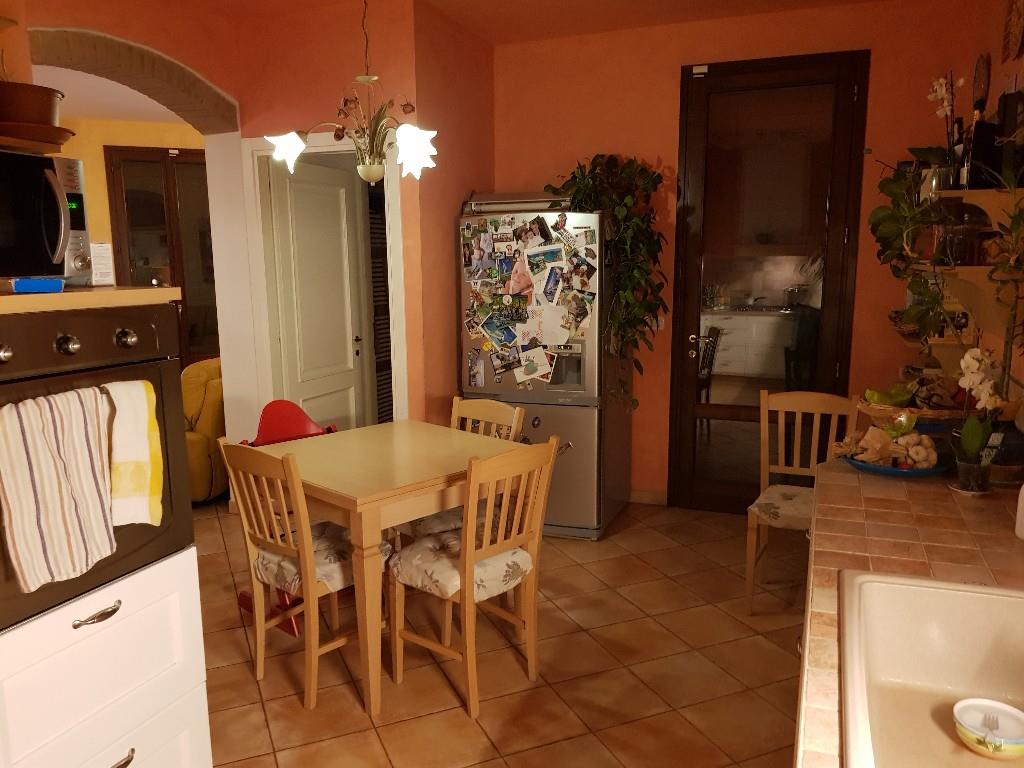 immagine annuncio 6 di 7