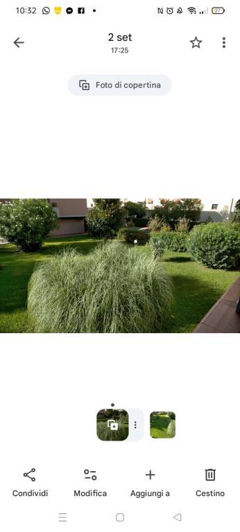 immagine annuncio 6 di 7