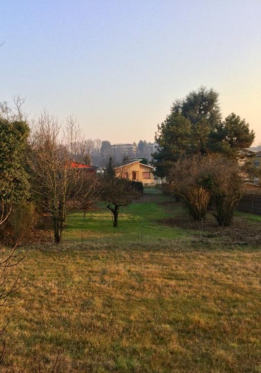 immagine annuncio 2 di 4