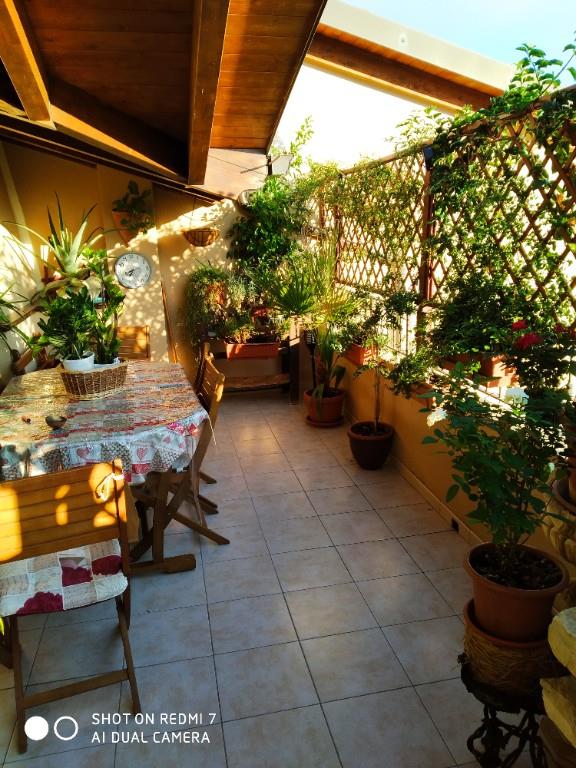 immagine annuncio 3 di 7