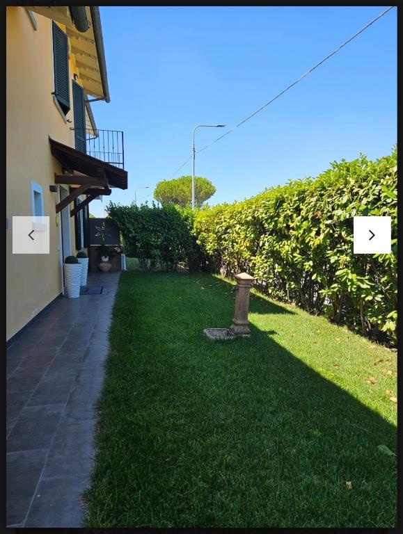 immagine annuncio 1 di 7