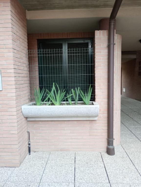 immagine annuncio 1 di 6