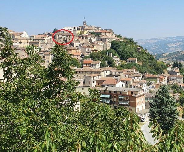 immagine annuncio 1 di 7