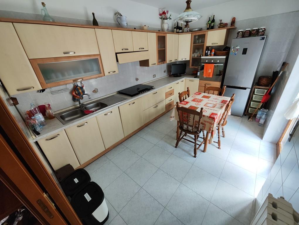 immagine annuncio 1 di 7