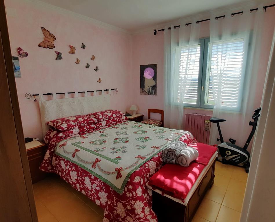 immagine annuncio 5 di 7