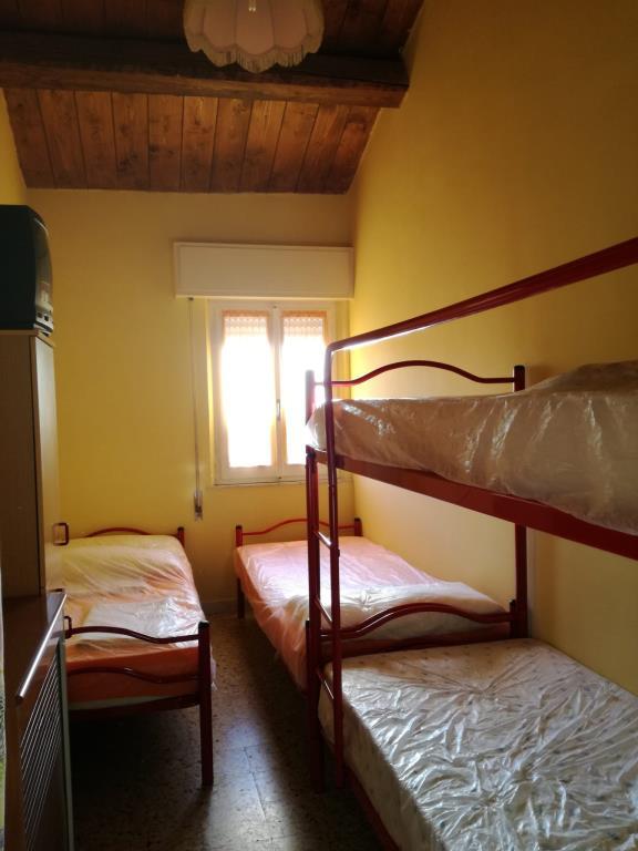 immagine annuncio 5 di 7
