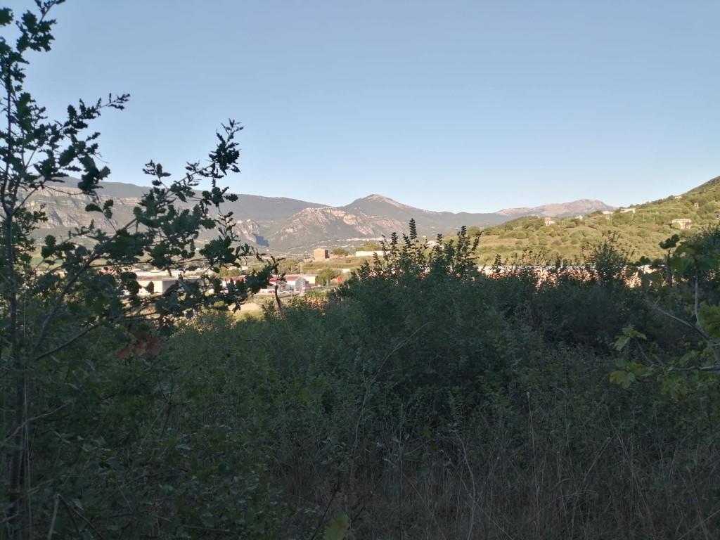 immagine annuncio 1 di 7