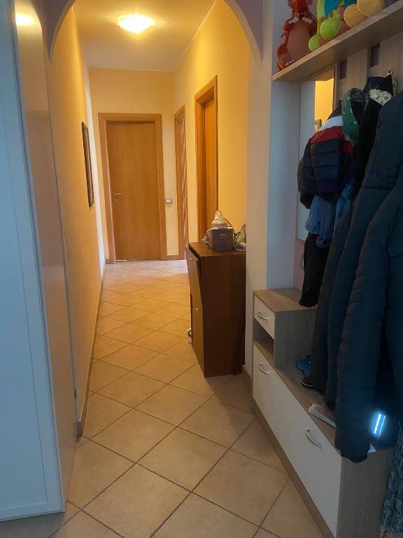 immagine annuncio 3 di 7