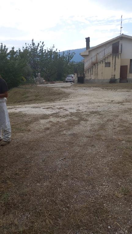 immagine annuncio 2 di 7