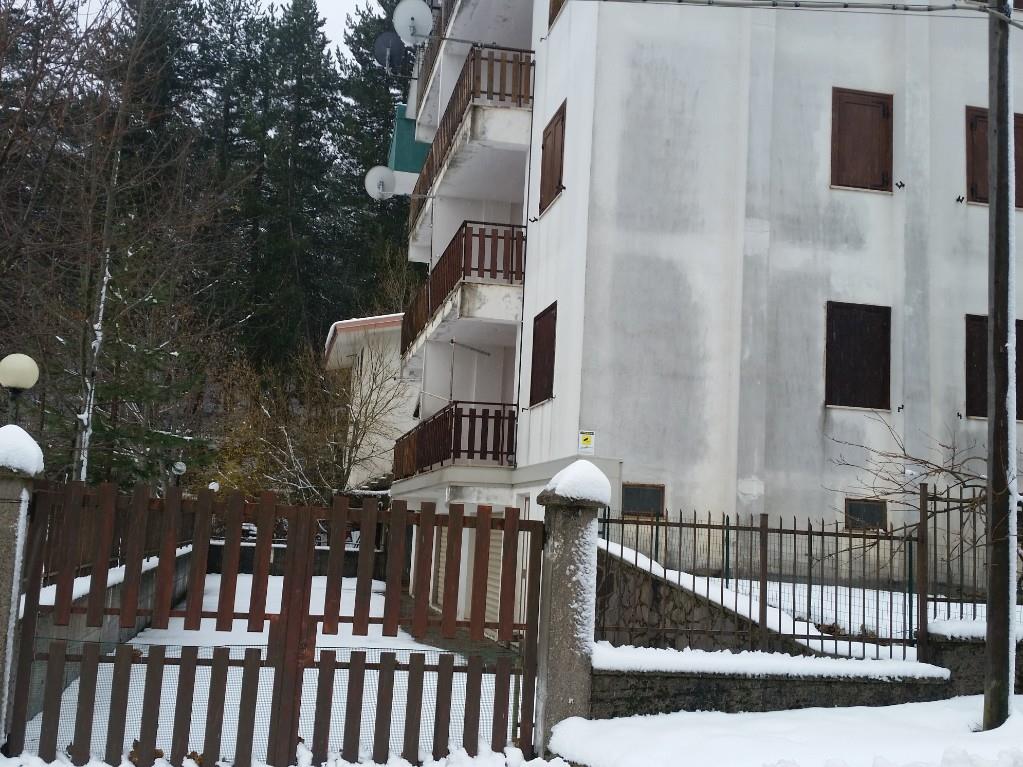 immagine annuncio 2 di 7