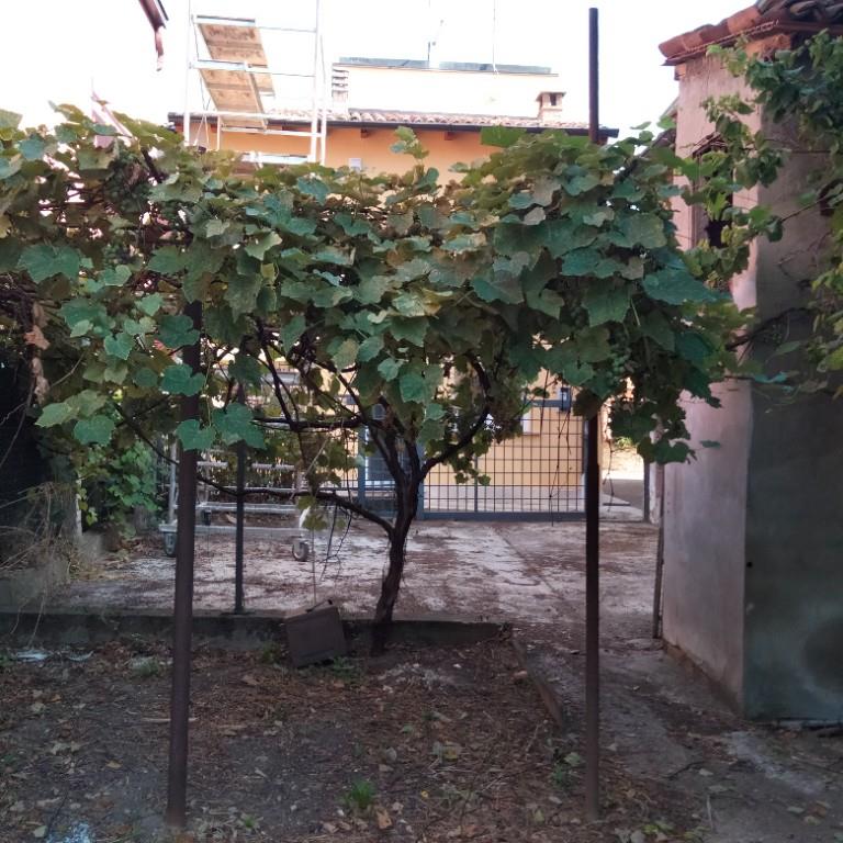 immagine annuncio 2 di 6