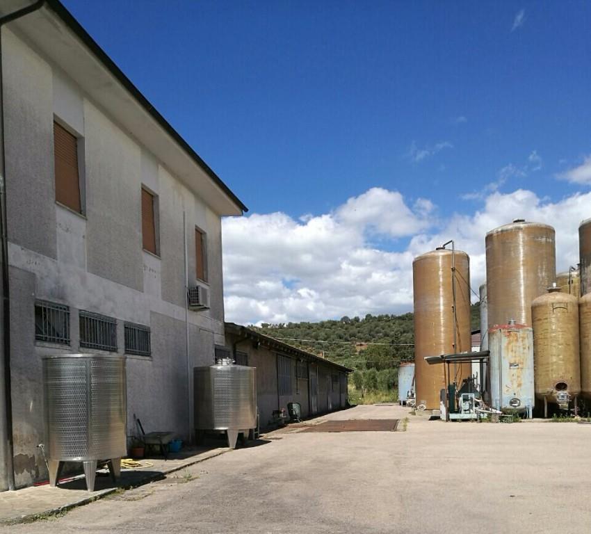 immagine annuncio 1 di 6