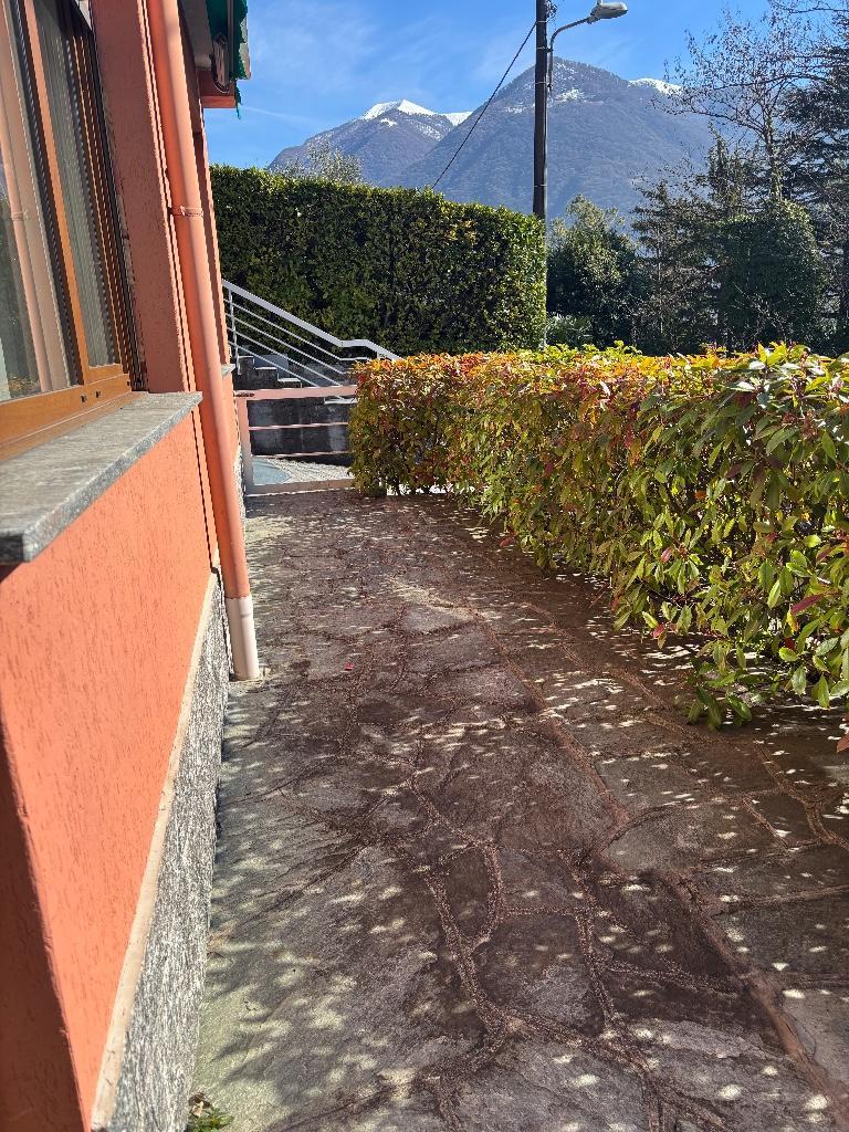 immagine annuncio 4 di 7